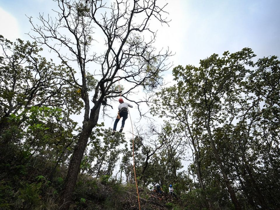 Saneamiento del Bosque La Primavera