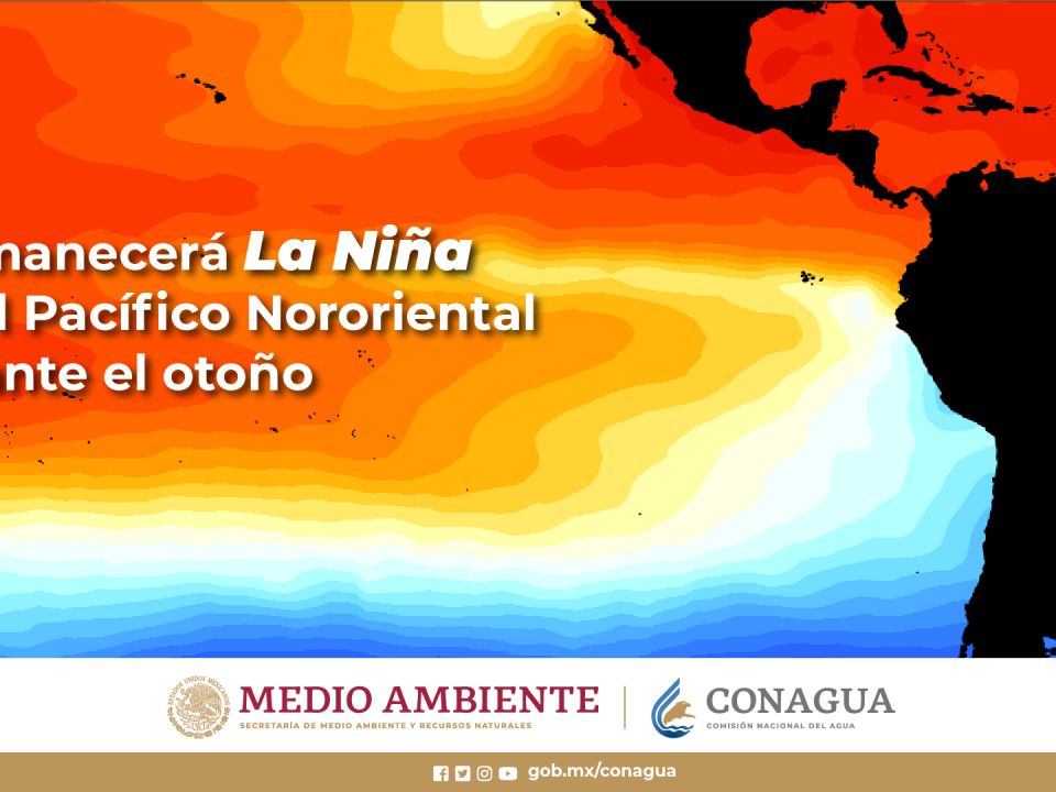 La niña 