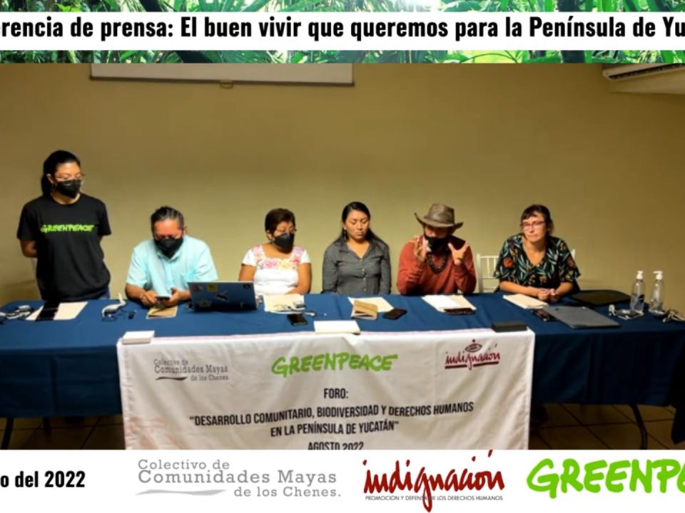 Greenpeace México