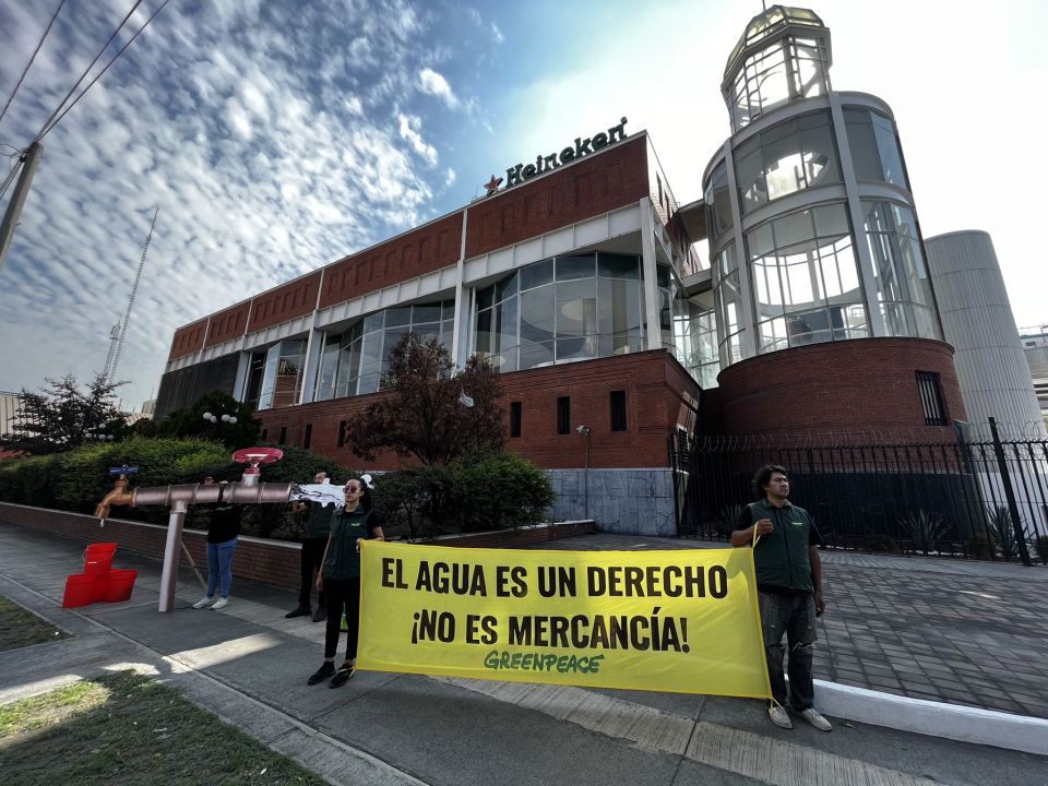 Greenpeace México