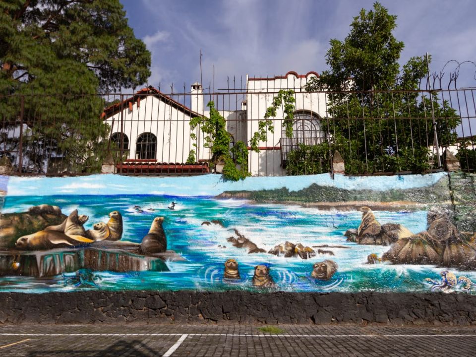 Muro Sedema