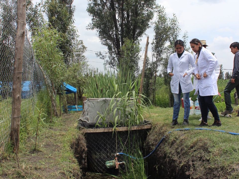 Xochimilco