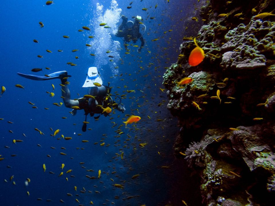 Buceo y arrecifes de coral