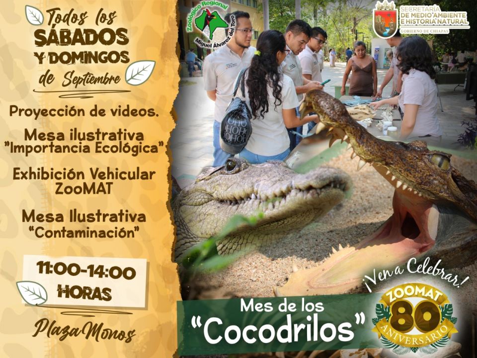 Cocodrilos