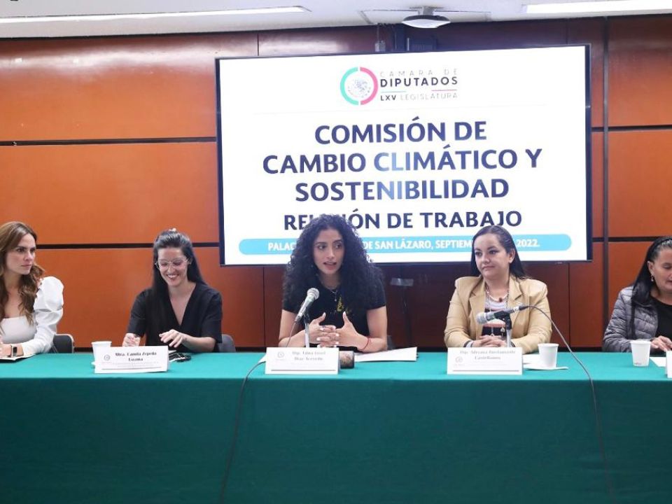 Comisión de Cambio climático