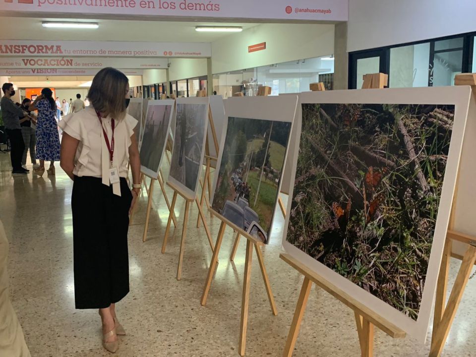 Galería Ambiental Itinerante 