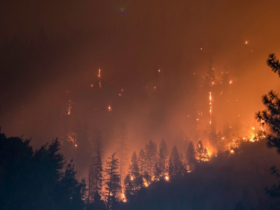 Incendio Forestal 