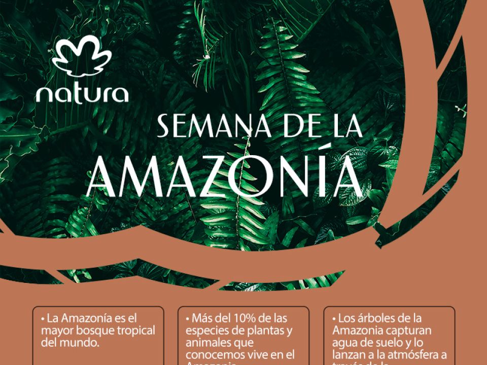 Natura relanza PlenaMata, una plataforma contra la deforestación de la  Amazonía