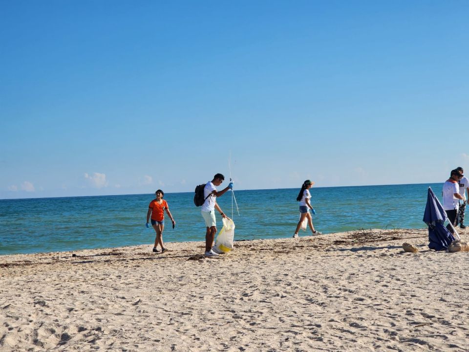 Limpieza de playas