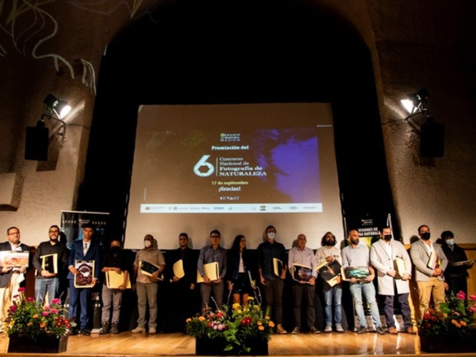 Concurso Nacional de Fotografía de Naturaleza Mosaico Natura México