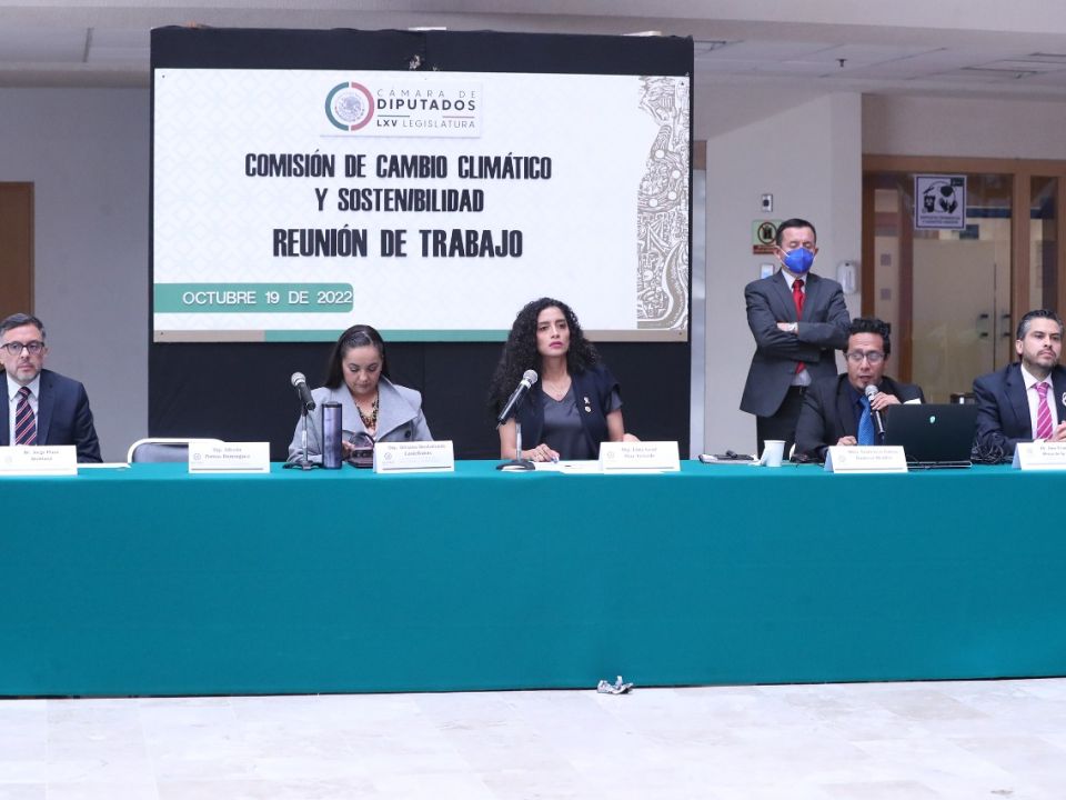 Diputados