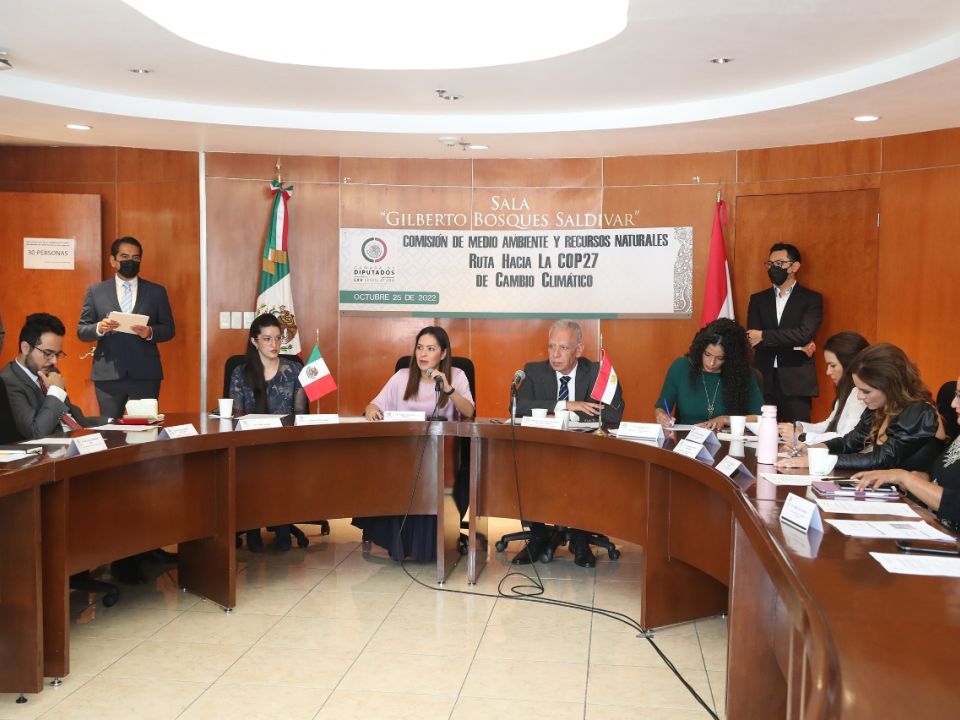 Cámara de Diputados