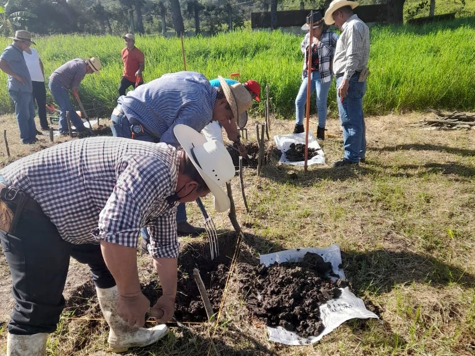 Huertos biointensivos