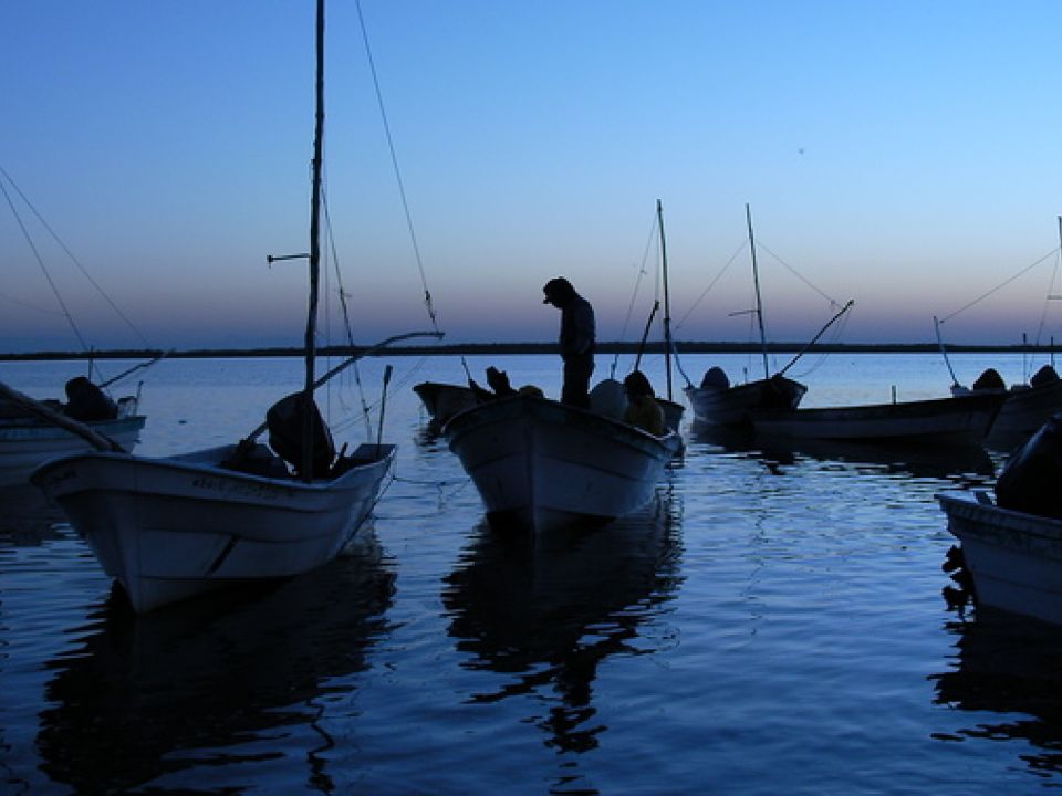 Bote pesquero