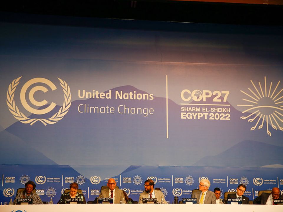 COP27