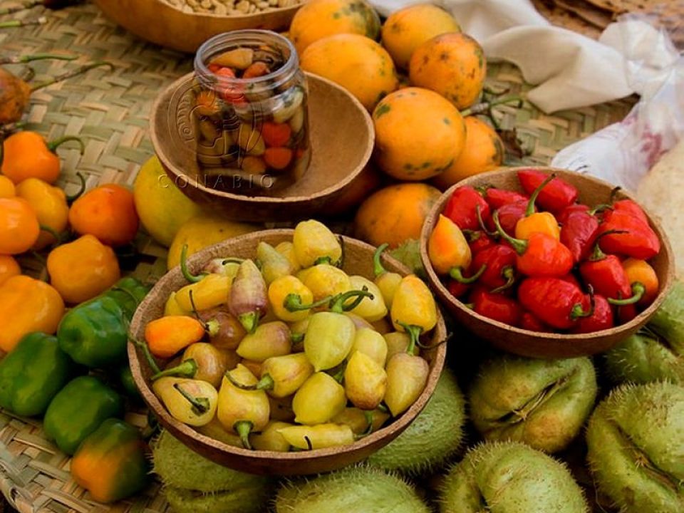 Cultivos en México