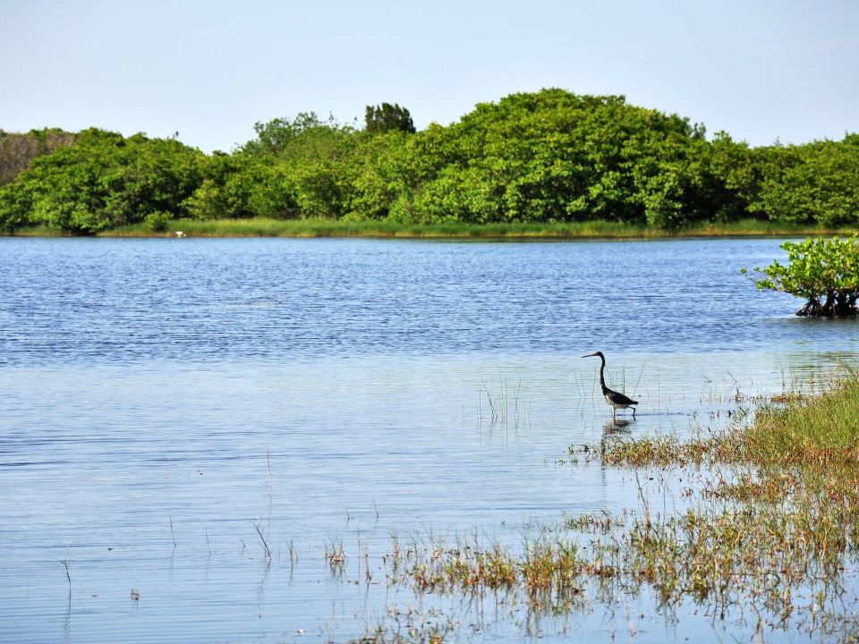 Laguna en Florida