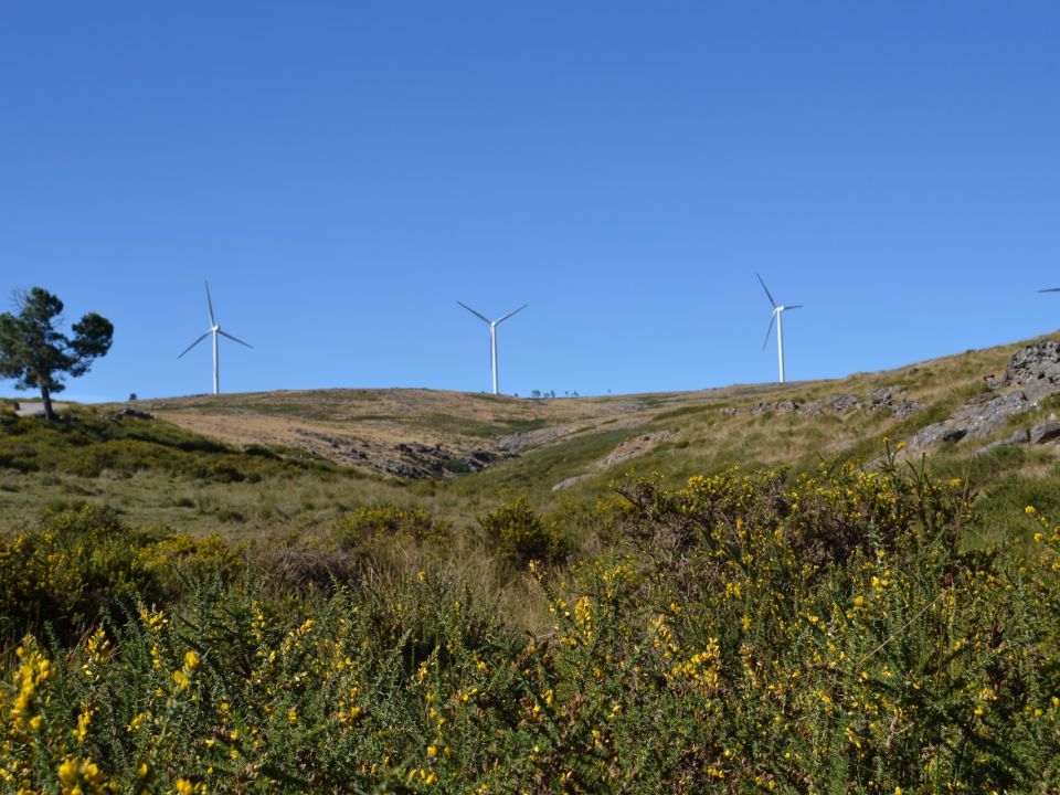 Energía eólica