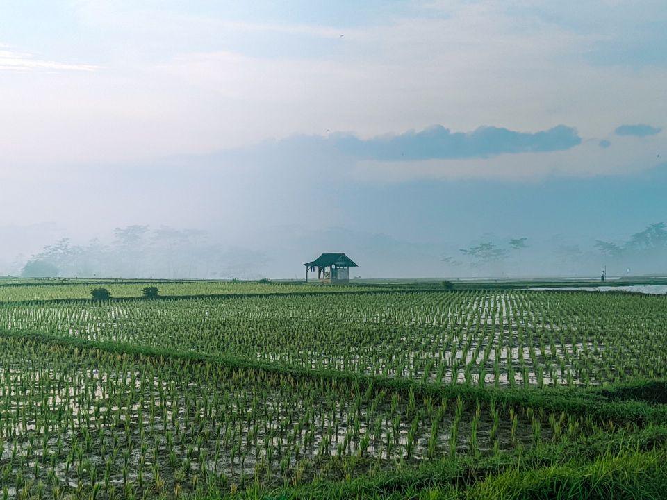 Java, Indonesia