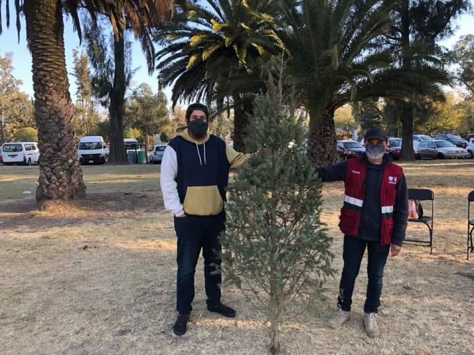 Árbol de Navidad