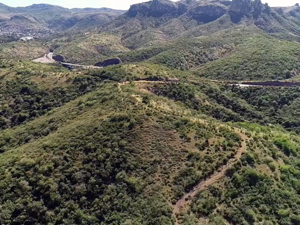 Bosque de Guanajuato