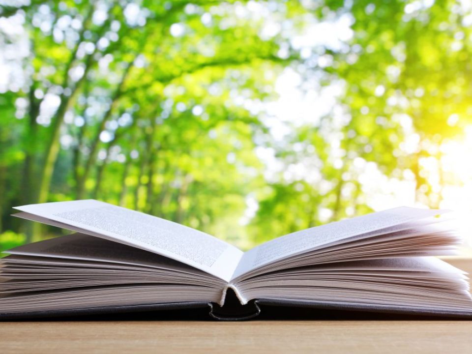 Educación ambiental