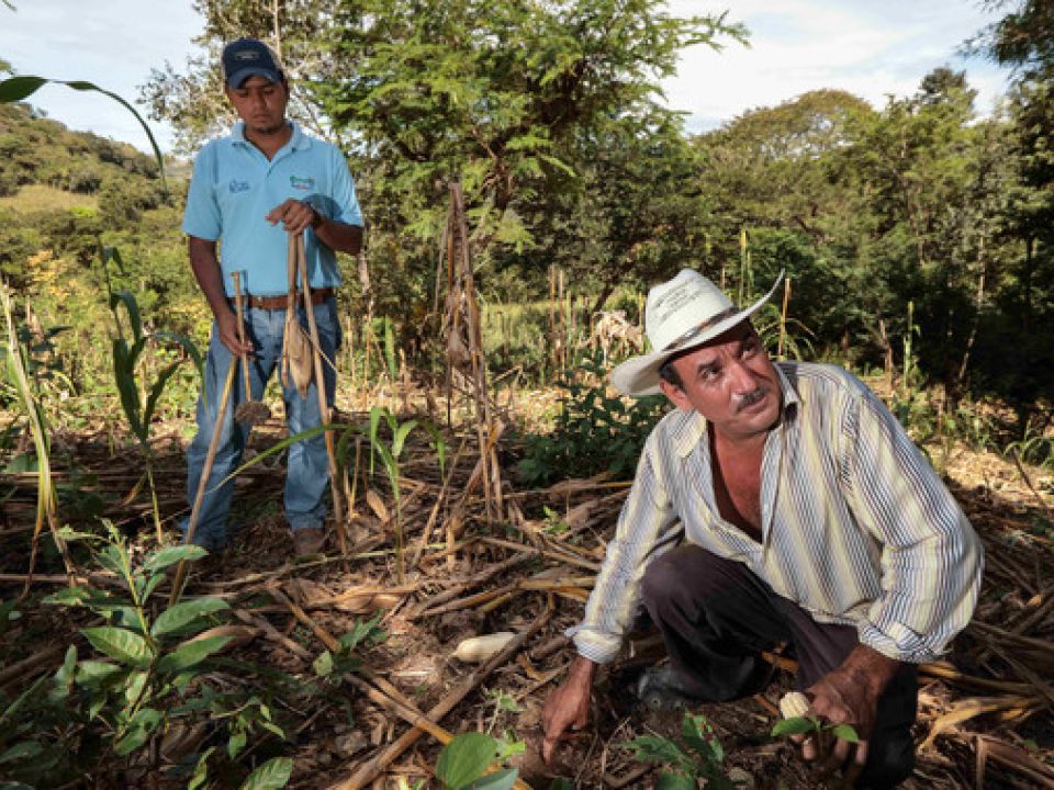 Agricultor