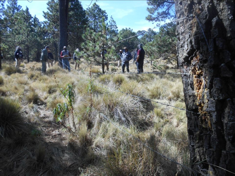 Suelo de conservación