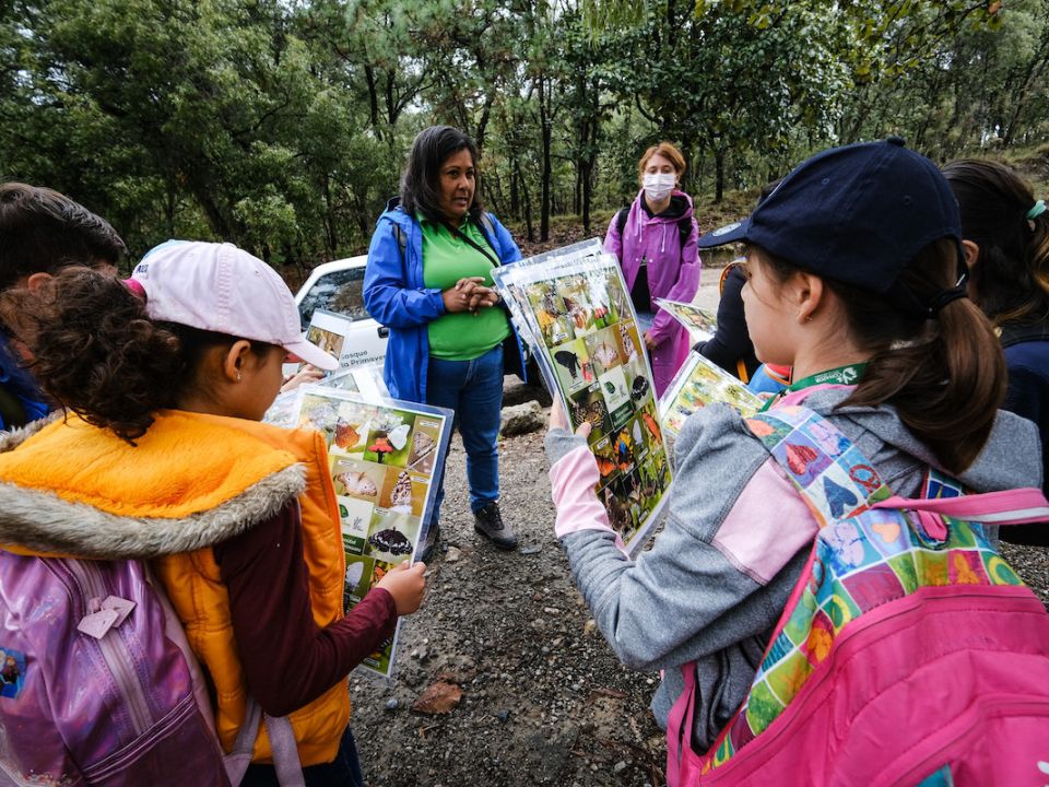 Educación ambiental