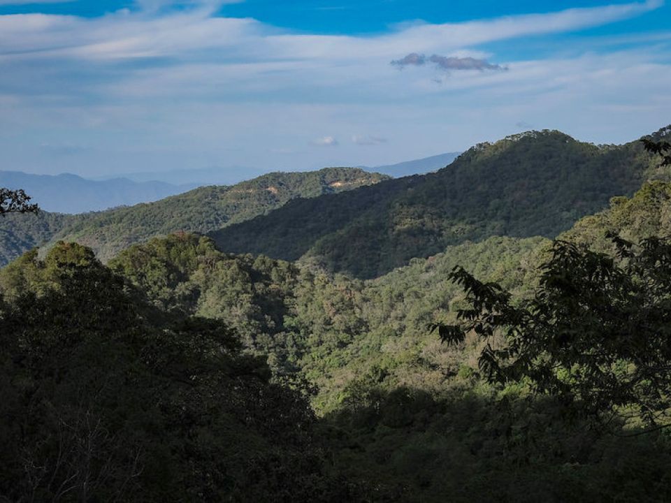 Sierra Occidental 