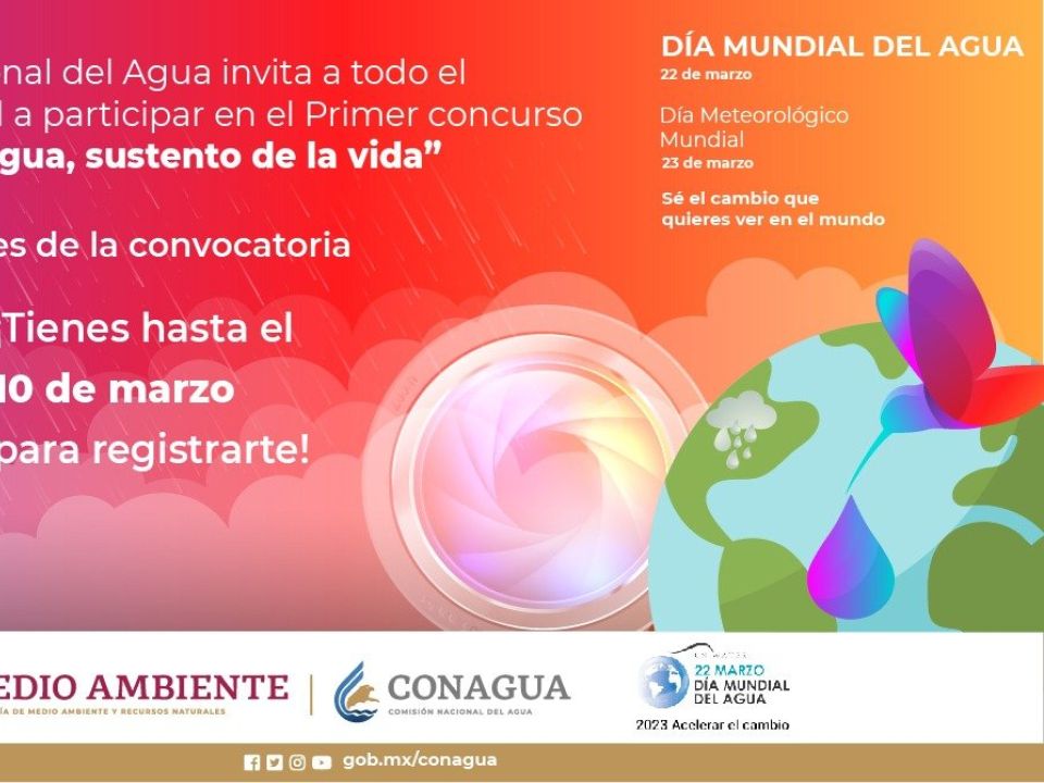 El agua, sustento de la vida