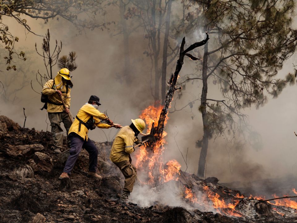 Incendios forestales en Jalisco