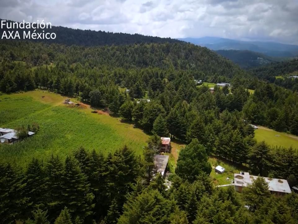 Fundación AXA México