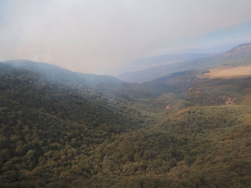 Incendio en el Bosque La Primavera