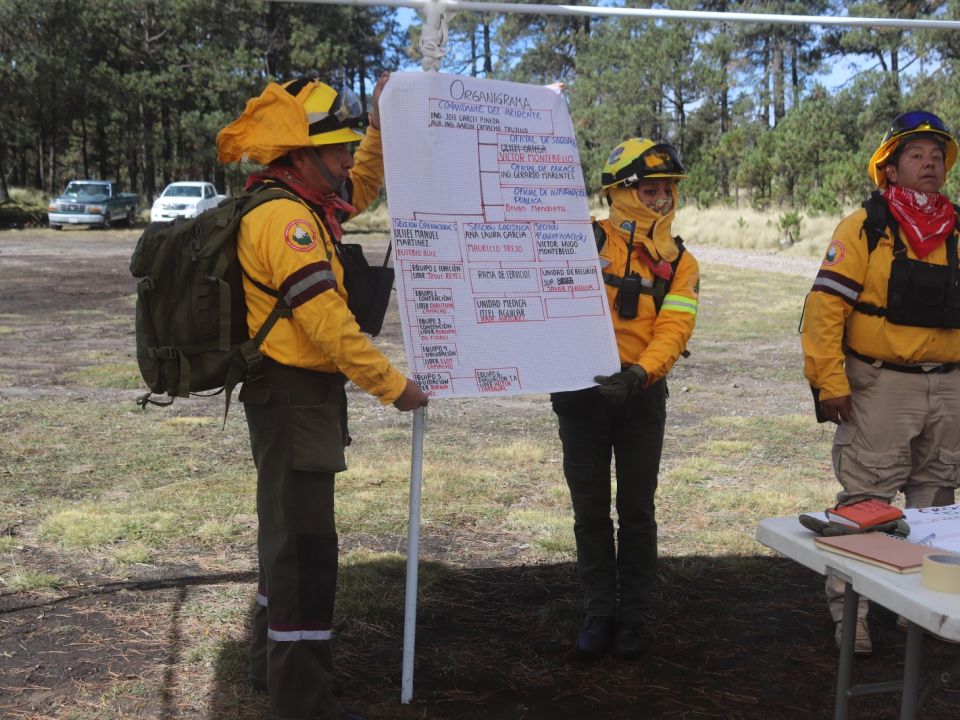 Combatientes de incendios forestales