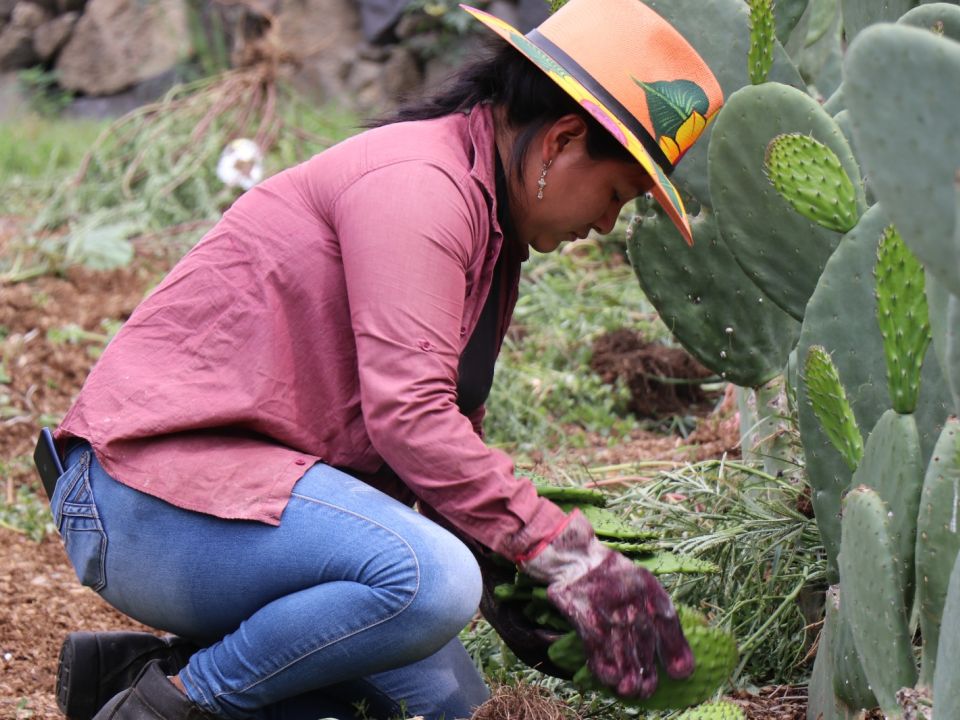 Agricultora