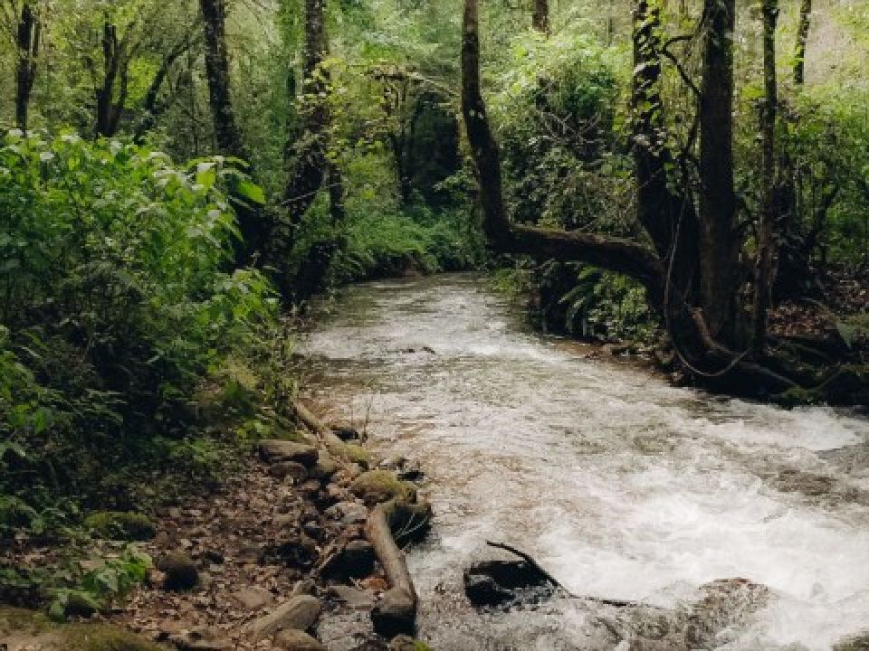 Río Magdalena