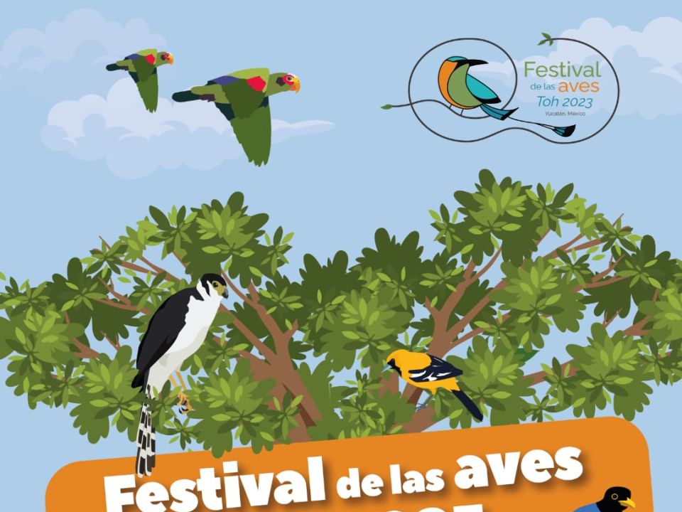 Festival de las aves Toh