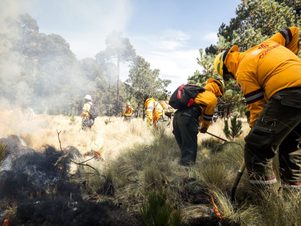 Incendio forestal