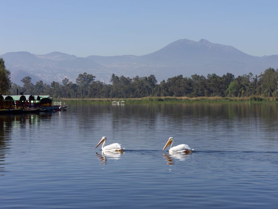 Lago en CDMX