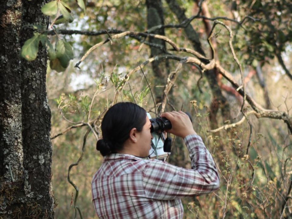 Monitoreo de biodiversidad 