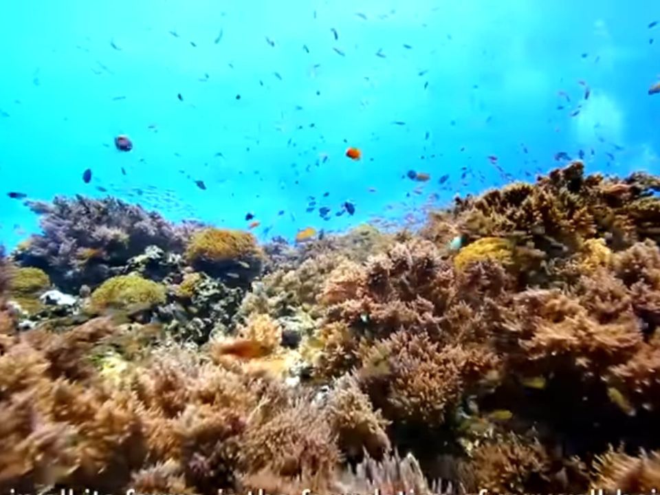 Océanos