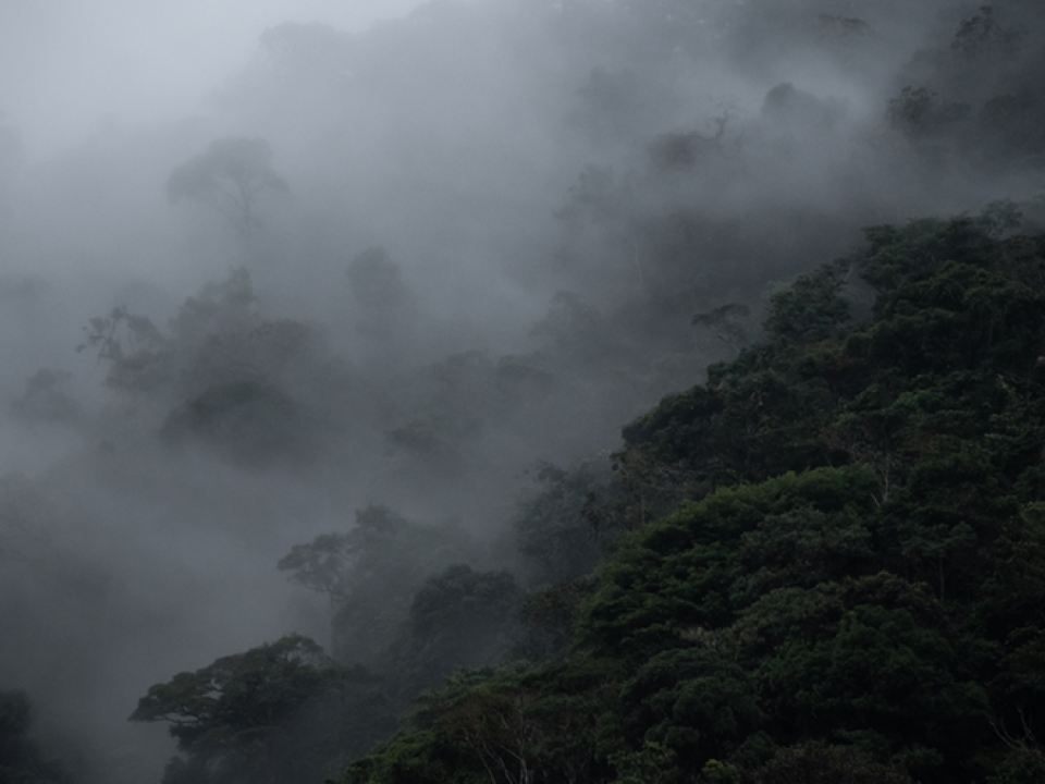 Andes Colombianos