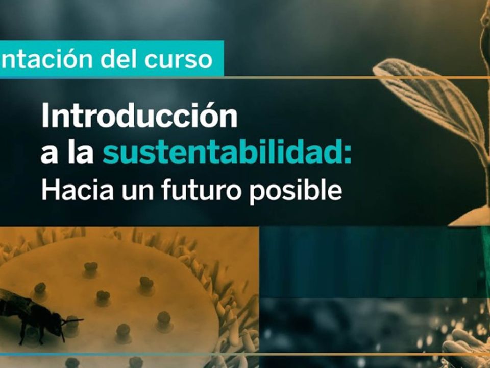 Curso UNAM