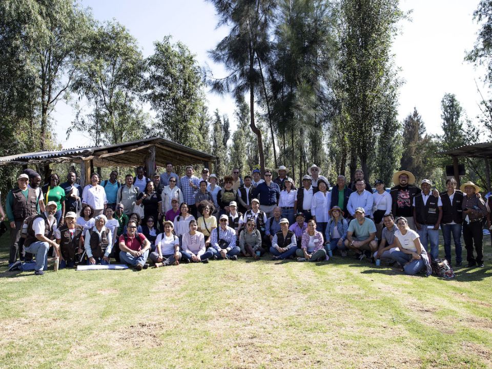 Doctores de los Suelos