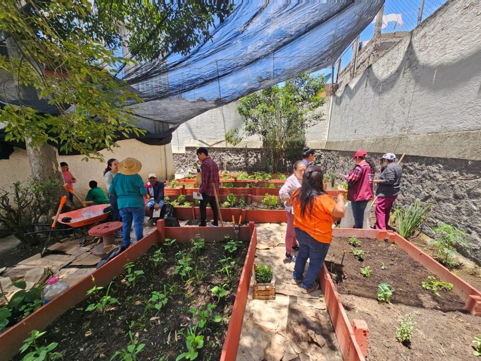 Huerto urbano