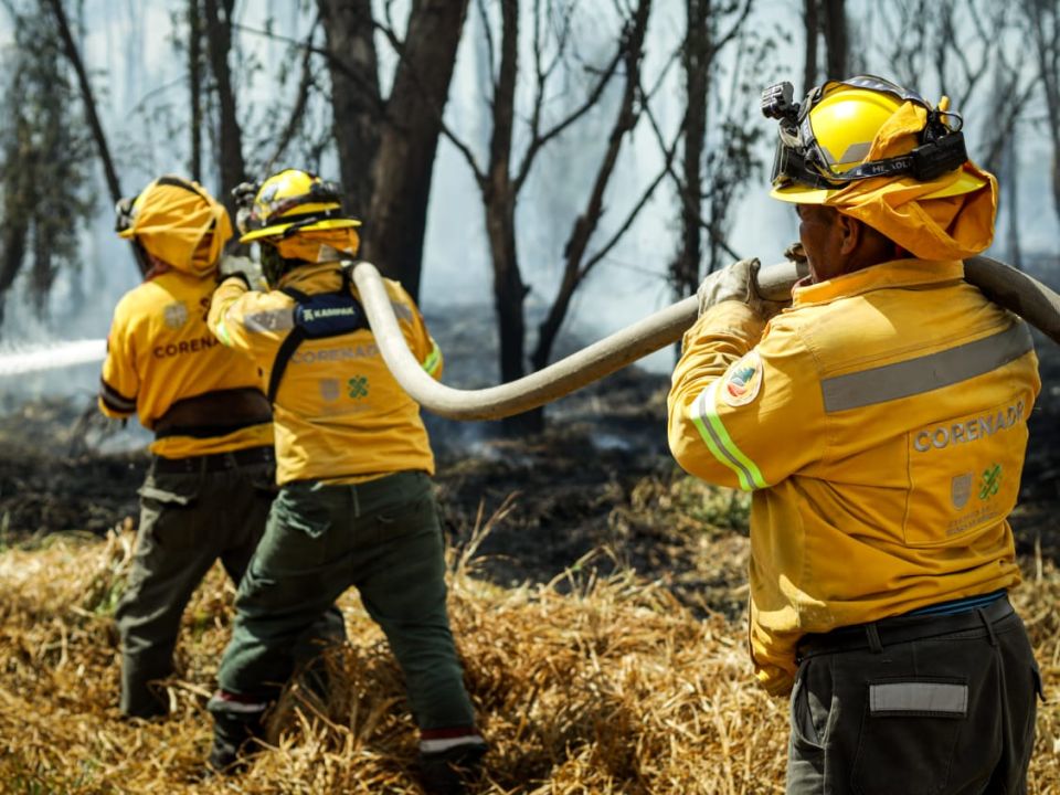 Combatiente de incendios forestales