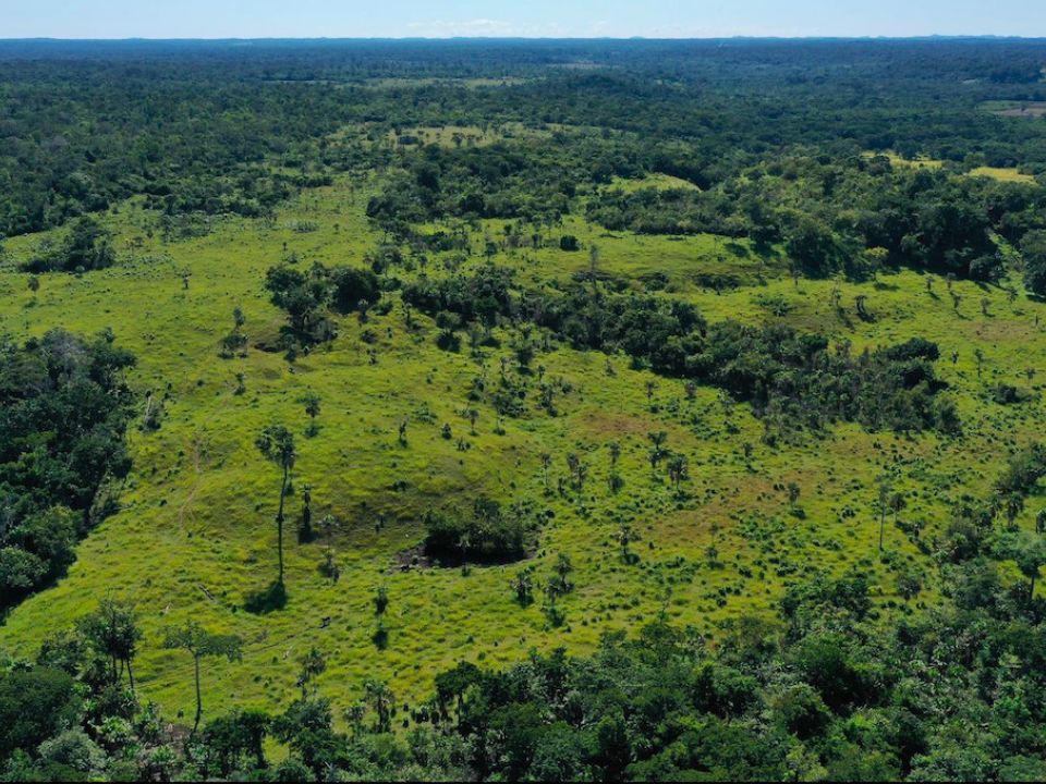 Selva Maya Guatemala