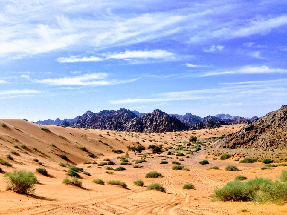 Ababia Saudita