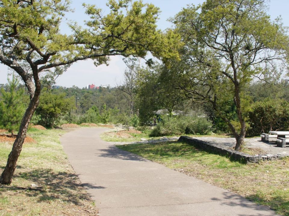 Bosque de Chapultepec